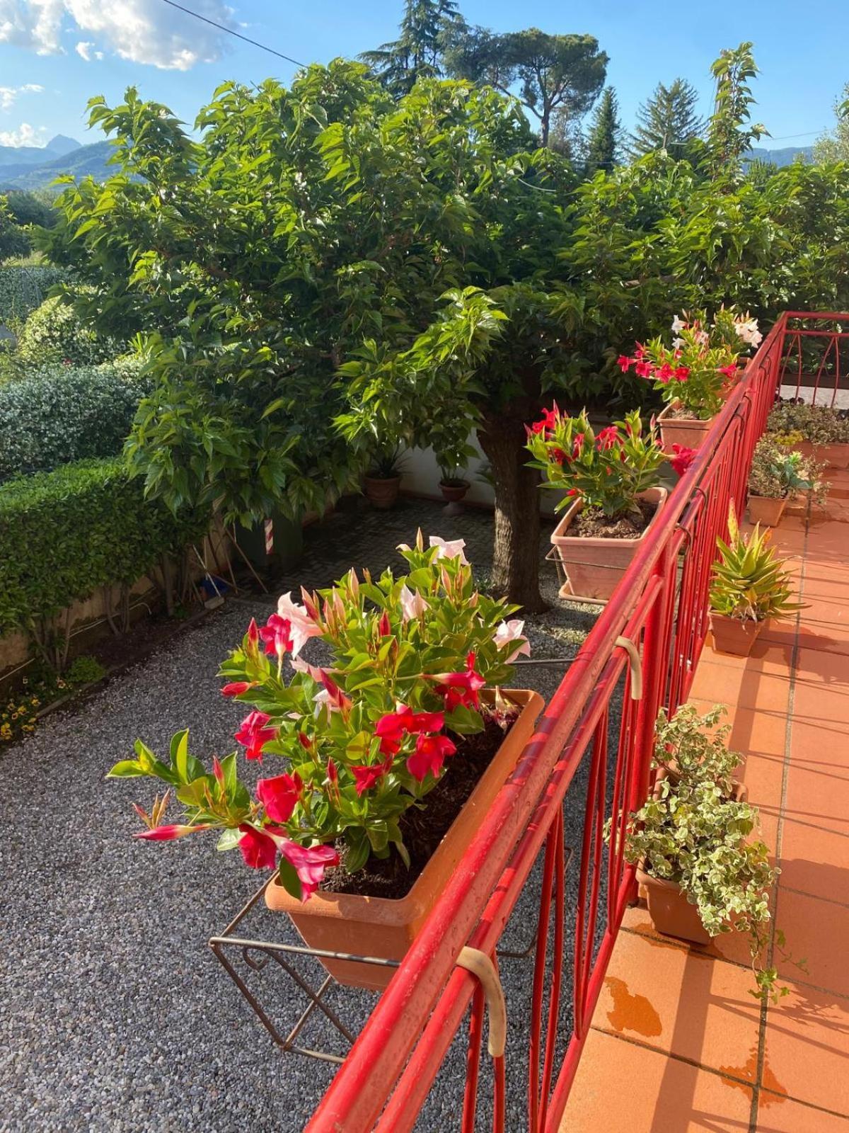 Villa Casa Mary à Lucques Extérieur photo