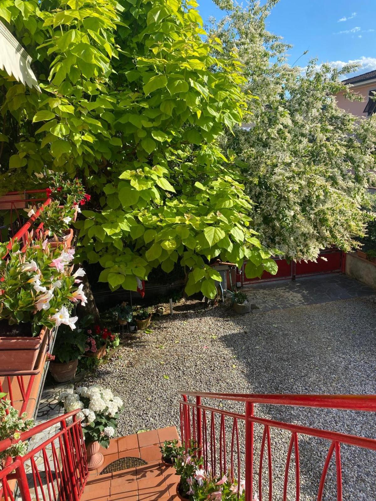 Villa Casa Mary à Lucques Extérieur photo